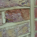 Brick Tint applied.jpg